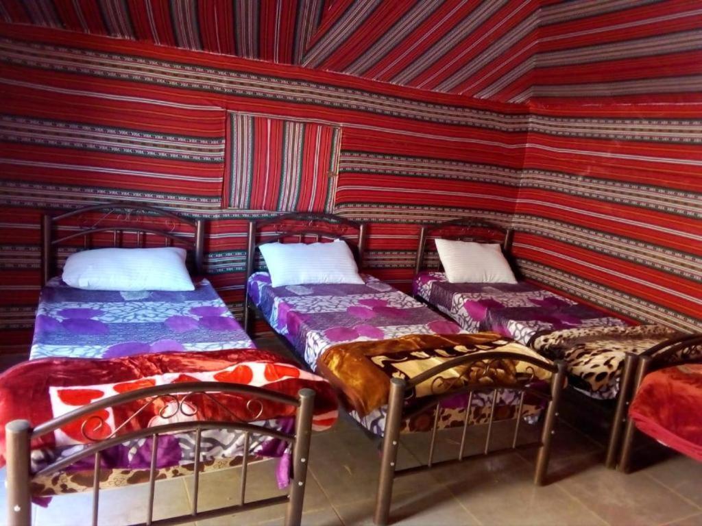Wadi Rum Moon Camp 외부 사진
