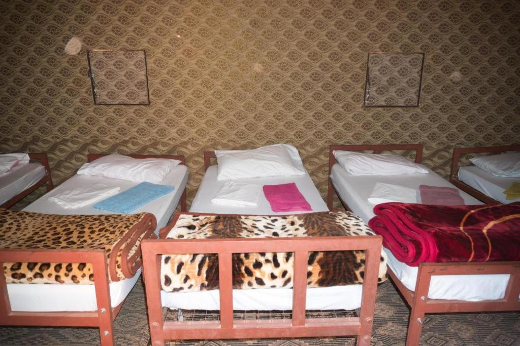 Wadi Rum Moon Camp 외부 사진