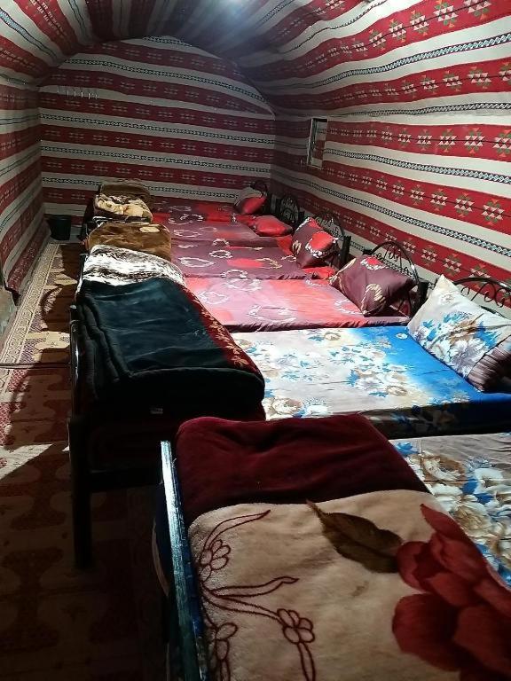 Wadi Rum Moon Camp 외부 사진