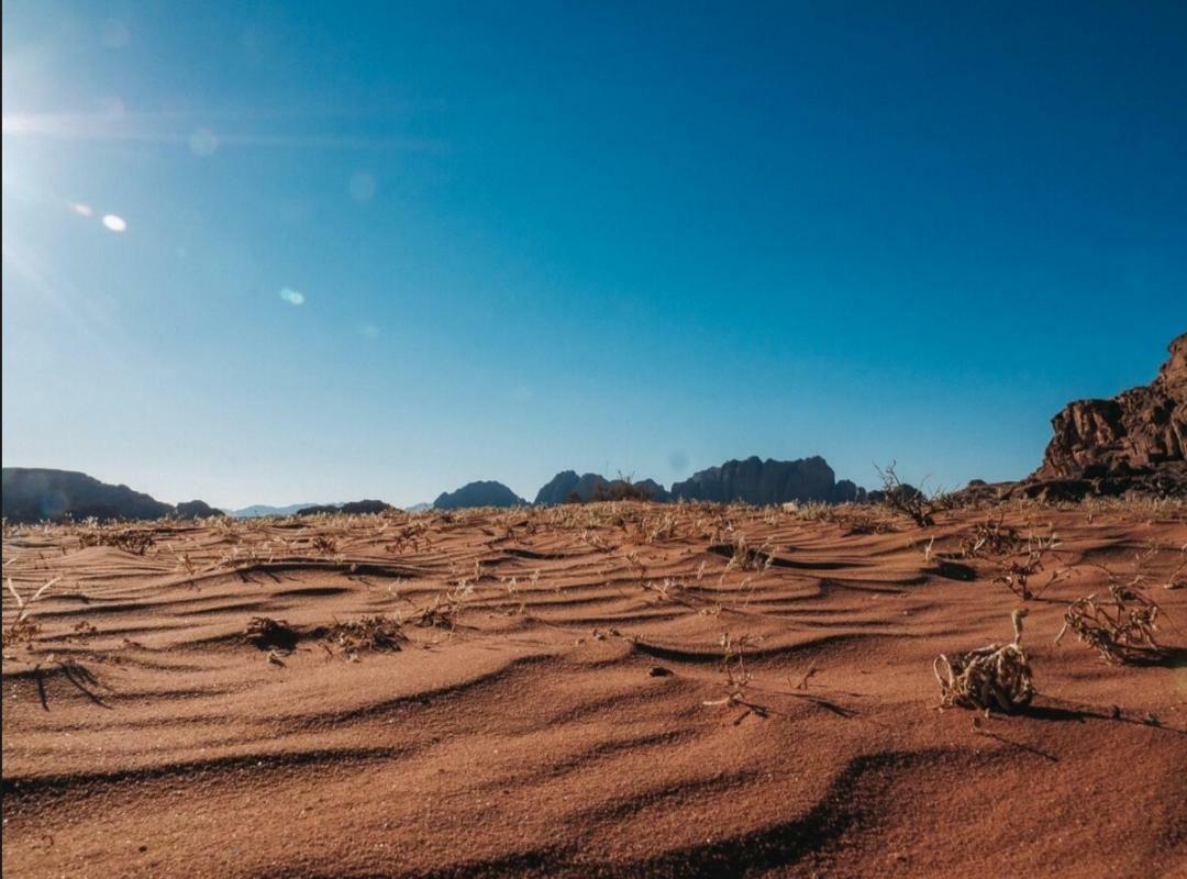 Wadi Rum Moon Camp 외부 사진