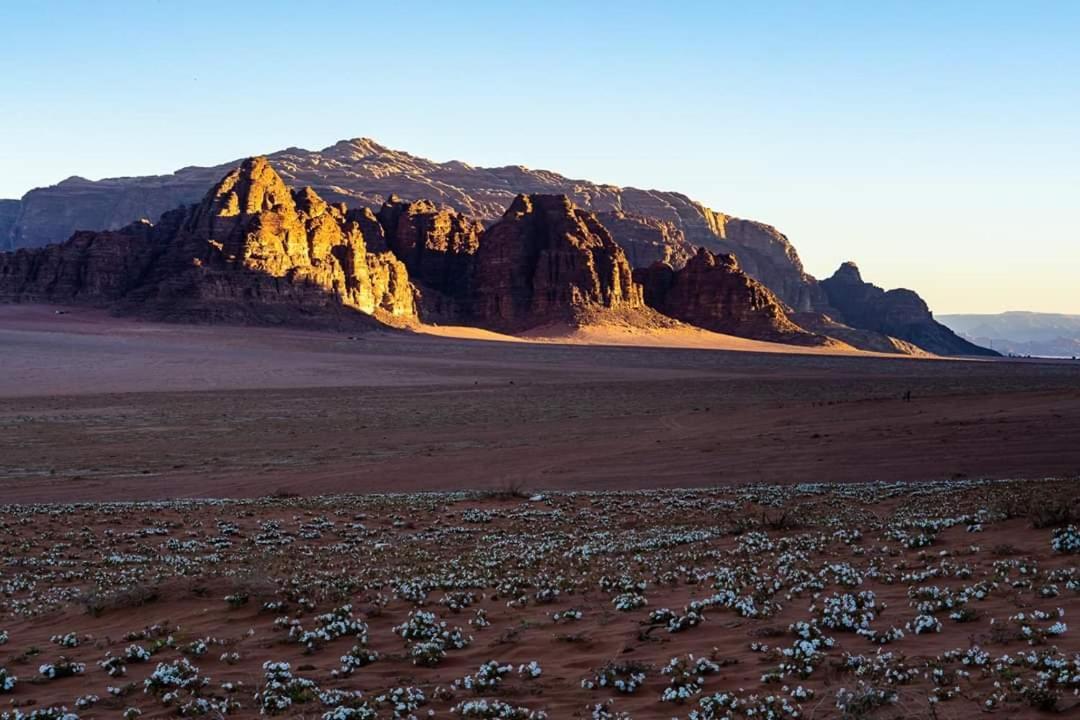 Wadi Rum Moon Camp 외부 사진
